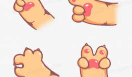 猫爪短视频素材,揭秘猫爪短视频的魅力