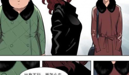 漫画皮草,时尚与道德的碰撞